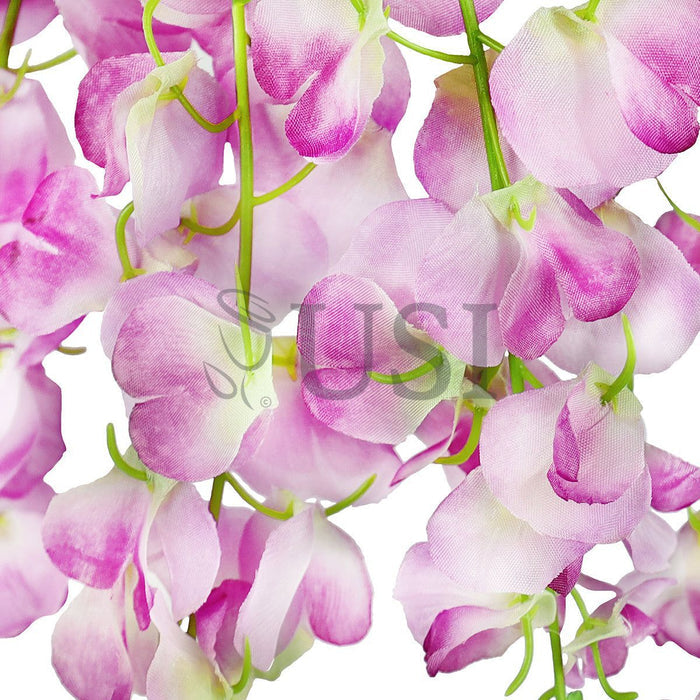 Wisteria Hanging Flower Bush x5, 24in, Lavender