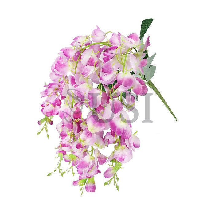 Wisteria Hanging Flower Bush x5, 24in, Lavender