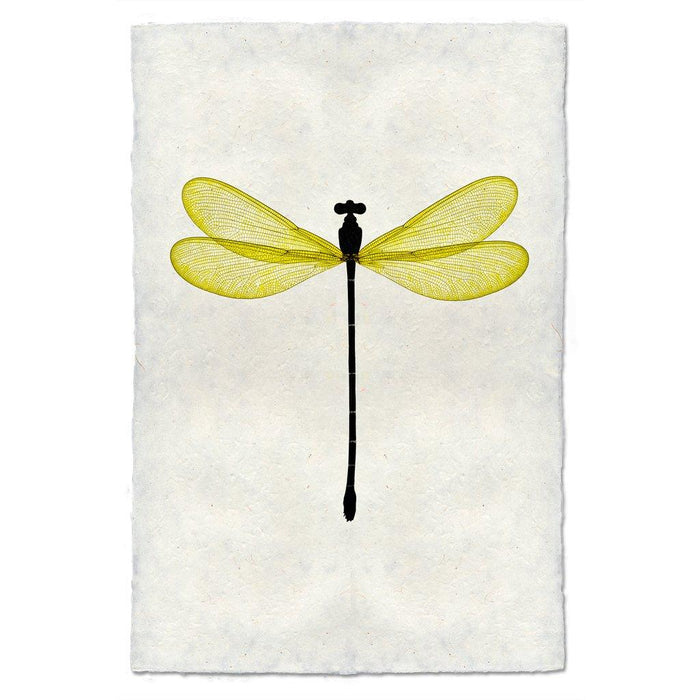 Yellow Damsel Dragonfly print on handmade paper, featuring a black body and translucent yellow wings.